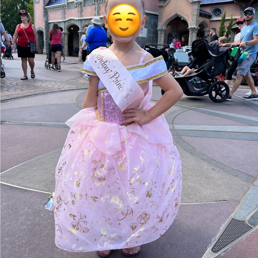 Disney Princess dress/Princess Aurora’s dress